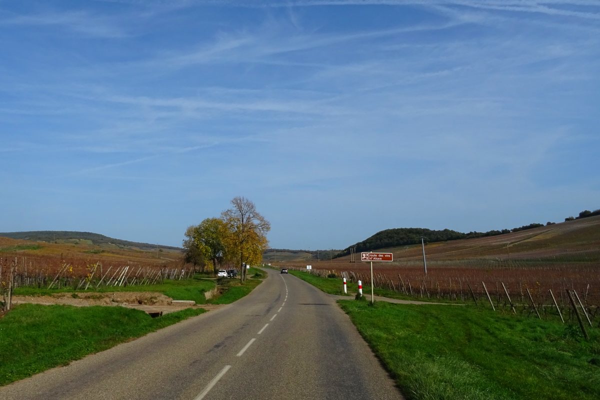 Route des vins d'Alsace au milieu des vignobles, entre Orschwihr et Westhalten