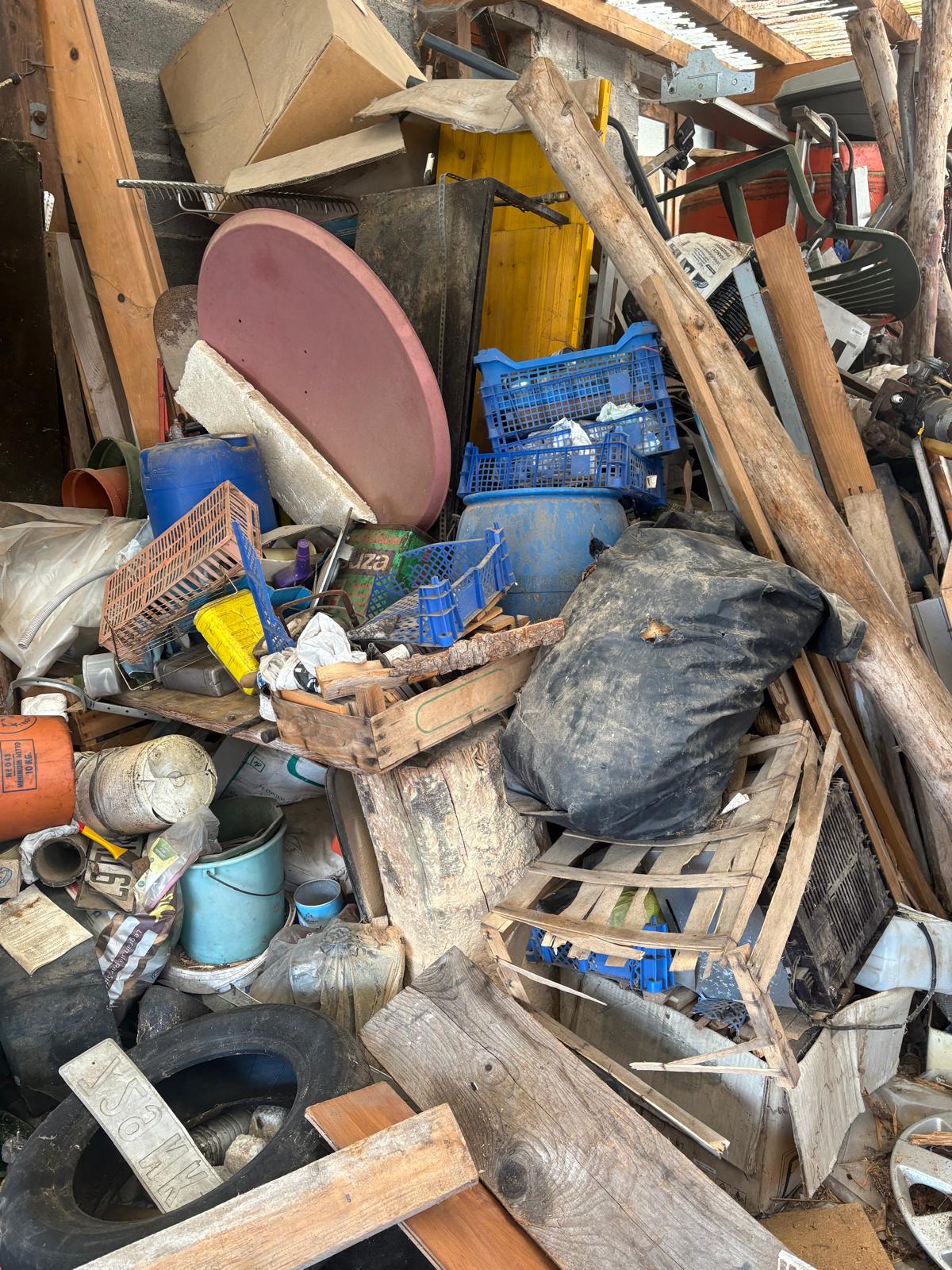 Avant accompagnement Diogène à Haguenau